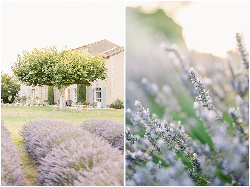 bastide des barattes champ lavande